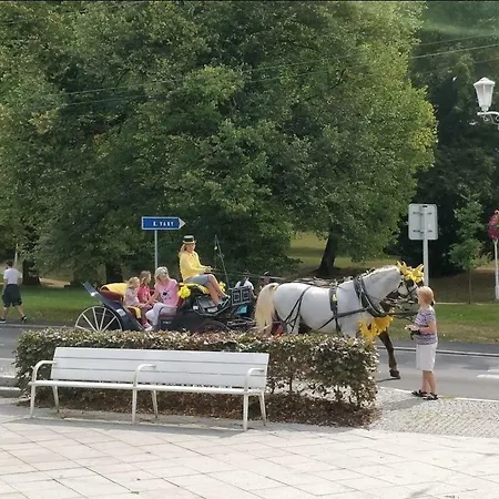 Апартаменты Central Marienbad Apartaments *